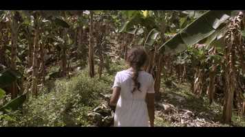 Free download ngela - Triler Oficial video and edit with RedcoolMedia movie maker MovieStudio video editor online and AudioStudio audio editor onlin