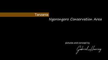 Free download Ngorongoro Conservation Area video and edit with RedcoolMedia movie maker MovieStudio video editor online and AudioStudio audio editor onlin
