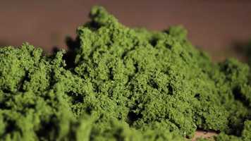 Free download Nick Dagas Reel video and edit with RedcoolMedia movie maker MovieStudio video editor online and AudioStudio audio editor onlin