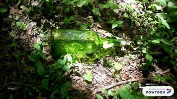 Free download Nicole Hogan 19923688 EDC175 Assessment 2 video and edit with RedcoolMedia movie maker MovieStudio video editor online and AudioStudio audio editor onlin