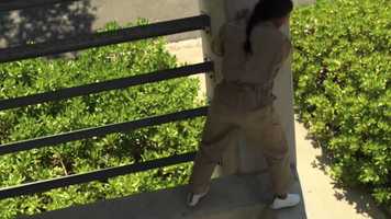 Free download NICOLE MARINES_ACTION REEL 2020 video and edit with RedcoolMedia movie maker MovieStudio video editor online and AudioStudio audio editor onlin