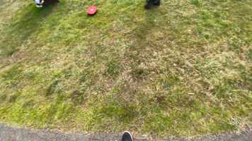 Free download Niggas fighting video and edit with RedcoolMedia movie maker MovieStudio video editor online and AudioStudio audio editor onlin