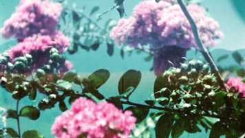 Free download Night Foundation - Dont Get Me Wrong video and edit with RedcoolMedia movie maker MovieStudio video editor online and AudioStudio audio editor onlin