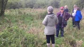 Free download Nightingale bird song video and edit with RedcoolMedia movie maker MovieStudio video editor online and AudioStudio audio editor onlin