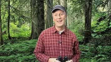 Free download Nikon Launch comedy video and edit with RedcoolMedia movie maker MovieStudio video editor online and AudioStudio audio editor onlin