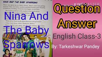 Free download Nina and baby sparrow Q and Answer video and edit with RedcoolMedia movie maker MovieStudio video editor online and AudioStudio audio editor onlin