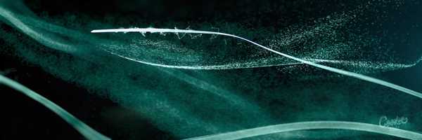 Free download NIO_Launch Event video and edit with RedcoolMedia movie maker MovieStudio video editor online and AudioStudio audio editor onlin