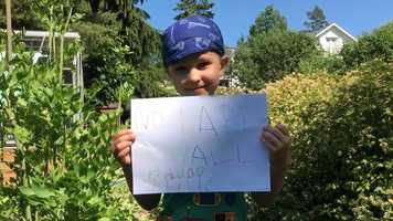 Free download NLNW: Commercial for Festival video and edit with RedcoolMedia movie maker MovieStudio video editor online and AudioStudio audio editor onlin