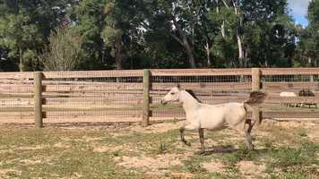 Free download NMotion In Your Dreams (In Cahoots x Fairytale) video and edit with RedcoolMedia movie maker MovieStudio video editor online and AudioStudio audio editor onlin