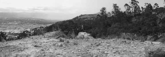 Free download Nobody - Musicbed Reopen Challenge video and edit with RedcoolMedia movie maker MovieStudio video editor online and AudioStudio audio editor onlin