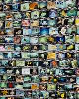 Free download Nobuyoshi Araki, A/FILM #2, 2006, exhibition view video and edit with RedcoolMedia movie maker MovieStudio video editor online and AudioStudio audio editor onlin