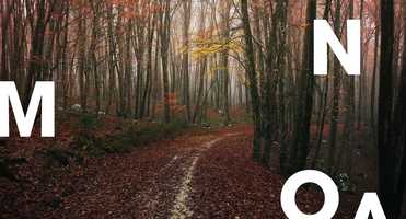 Free download Nomad Brand Identity  Animation 04 video and edit with RedcoolMedia movie maker MovieStudio video editor online and AudioStudio audio editor onlin