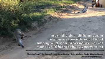 Free download Nord ABS 2020 video and edit with RedcoolMedia movie maker MovieStudio video editor online and AudioStudio audio editor onlin