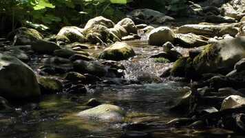 Free download Nordic Chocolate brand music video and edit with RedcoolMedia movie maker MovieStudio video editor online and AudioStudio audio editor onlin