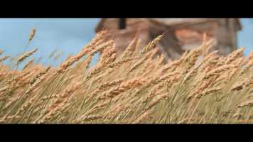 Free download No Roads In - Official Trailer video and edit with RedcoolMedia movie maker MovieStudio video editor online and AudioStudio audio editor onlin