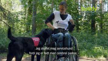 Free download Norske Servicehunder video and edit with RedcoolMedia movie maker MovieStudio video editor online and AudioStudio audio editor onlin