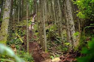 Free download Northwest Steeps with Finn Hopper video and edit with RedcoolMedia movie maker MovieStudio video editor online and AudioStudio audio editor onlin