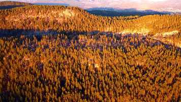 Free download Norway Filmed with the Dji Mavic Mini 2k Ultra HD video and edit with RedcoolMedia movie maker MovieStudio video editor online and AudioStudio audio editor onlin