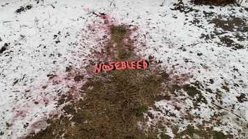 Free download NOSEBLEED video and edit with RedcoolMedia movie maker MovieStudio video editor online and AudioStudio audio editor onlin