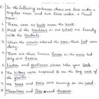 Free download Nouns: Number Ques no.  C video and edit with RedcoolMedia movie maker MovieStudio video editor online and AudioStudio audio editor onlin