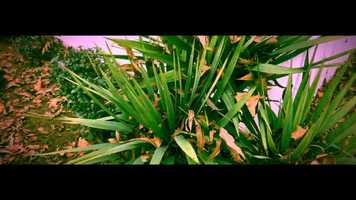 Free download NOVEMBER FALL COMEDY REEL 2019 | Alex Olivares video and edit with RedcoolMedia movie maker MovieStudio video editor online and AudioStudio audio editor onlin