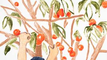 Free download NUISIBLES de Juliette LABORIA - Teaser video and edit with RedcoolMedia movie maker MovieStudio video editor online and AudioStudio audio editor onlin