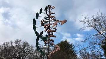 Free download Nuthouse Nate and the Kinetic Sculptures video and edit with RedcoolMedia movie maker MovieStudio video editor online and AudioStudio audio editor onlin