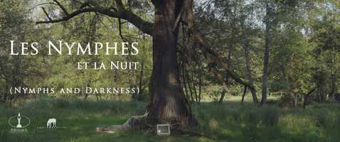 Free download Nymphs and Darkness (Official Trailer 2 | Autunno 2019) video and edit with RedcoolMedia movie maker MovieStudio video editor online and AudioStudio audio editor onlin