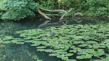 Free download Nyth! video and edit with RedcoolMedia movie maker MovieStudio video editor online and AudioStudio audio editor onlin