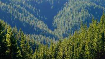 Free download NZFOA_CAREERSSCIENCE_15_720 video and edit with RedcoolMedia movie maker MovieStudio video editor online and AudioStudio audio editor onlin