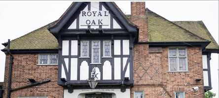 Free download oak video and edit with RedcoolMedia movie maker MovieStudio video editor online and AudioStudio audio editor onlin