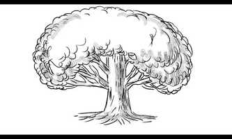 Free download Oak Tree Growing Big Drawing 2D Animation video and edit with RedcoolMedia movie maker MovieStudio video editor online and AudioStudio audio editor onlin