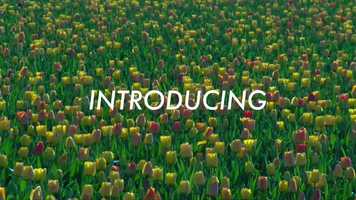 Free download OAKWOOD FLORAL: Covid-19 Project video and edit with RedcoolMedia movie maker MovieStudio video editor online and AudioStudio audio editor onlin