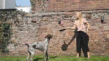 Free download Oasis Academy Brislington Virtual Sports Day Launch video and edit with RedcoolMedia movie maker MovieStudio video editor online and AudioStudio audio editor onlin