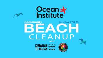 Free download Ocean Institute video and edit with RedcoolMedia movie maker MovieStudio video editor online and AudioStudio audio editor onlin