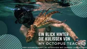 Free download Ocean Summit meets Sea Change Project: Wir werfen einen Blick hinter die Kulissen von Mein Lehrer, der Krake video and edit with RedcoolMedia movie maker MovieStudio video editor online and AudioStudio audio editor onlin