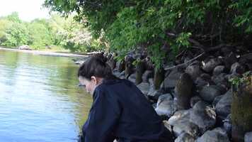 Free download O.Dela Arts_Straight No Chaser video and edit with RedcoolMedia movie maker MovieStudio video editor online and AudioStudio audio editor onlin