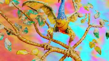 Free download odious music video and edit with RedcoolMedia movie maker MovieStudio video editor online and AudioStudio audio editor onlin