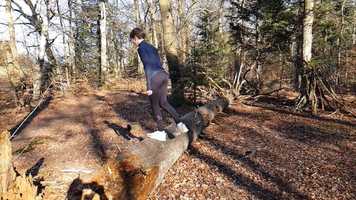 Free download Off ice training fun during corona lock-down video and edit with RedcoolMedia movie maker MovieStudio video editor online and AudioStudio audio editor onlin