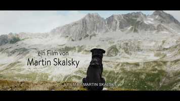 Free download Official Trailer: Cody - the dog days are over video and edit with RedcoolMedia movie maker MovieStudio video editor online and AudioStudio audio editor onlin