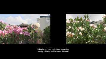Free download Oleander (2020) Trailer video and edit with RedcoolMedia movie maker MovieStudio video editor online and AudioStudio audio editor onlin