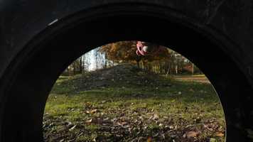 Free download OM01_V2_AVAAPII_2019_20_Zia_Vandekerckhove video and edit with RedcoolMedia movie maker MovieStudio video editor online and AudioStudio audio editor onlin