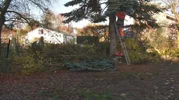 Free download OM02_AVAAPII_2019_20_Tibo_Belpaire video and edit with RedcoolMedia movie maker MovieStudio video editor online and AudioStudio audio editor onlin