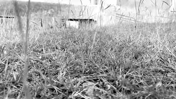 Free download ONEAL_CHLOE_FILM2103_FINAL video and edit with RedcoolMedia movie maker MovieStudio video editor online and AudioStudio audio editor onlin