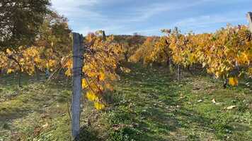 Free download One Creative Act Podcast Trailer video and edit with RedcoolMedia movie maker MovieStudio video editor online and AudioStudio audio editor onlin