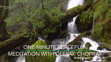 Free download One-Minute Peaceful Meditation with Deepak Chopra Trailer video and edit with RedcoolMedia movie maker MovieStudio video editor online and AudioStudio audio editor onlin