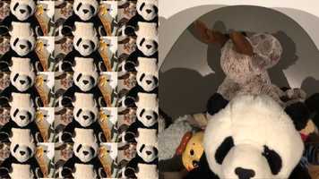 Free download One song a day on a Roman balcony: Pet Shop Boys! video and edit with RedcoolMedia movie maker MovieStudio video editor online and AudioStudio audio editor onlin