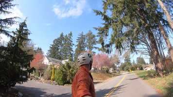 Free download Onewheel for T video and edit with RedcoolMedia movie maker MovieStudio video editor online and AudioStudio audio editor onlin