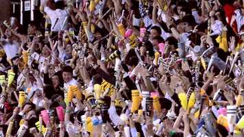 Free download One World Sports Rebrand Baseball Sizzle video and edit with RedcoolMedia movie maker MovieStudio video editor online and AudioStudio audio editor onlin