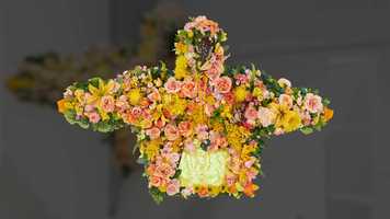 Free download Online tour The Hoodie: February II (3/12) EN video and edit with RedcoolMedia movie maker MovieStudio video editor online and AudioStudio audio editor onlin